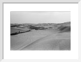 View of a grove of ...