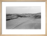 View of a grove of ...