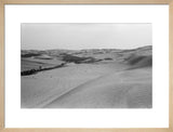 View of a grove of ...