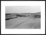 View of a grove of ...