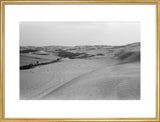 View of a grove of ...