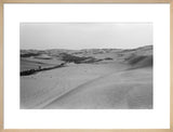 View of a grove of ...