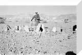 View of a Bedouin tribesman ...