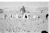 View of a Bedouin tribesman ...