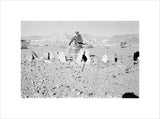 View of a Bedouin tribesman ...