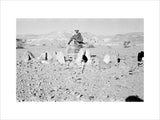 View of a Bedouin tribesman ...
