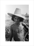Portrait of a man at ...