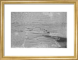 View of Wilfred Thesiger's party ...