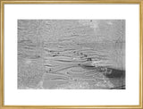 View of Wilfred Thesiger's party ...