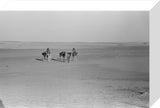 View of Wilfred Thesiger's travelling ...