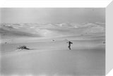 View of a member of ...