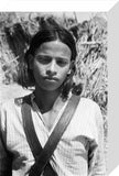 Portrait of a boy in ...