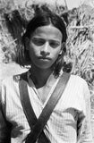 Portrait of a boy in ...