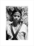 Portrait of a boy in ...