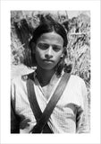 Portrait of a boy in ...