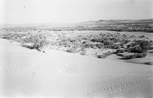 View of a vast sandy ...