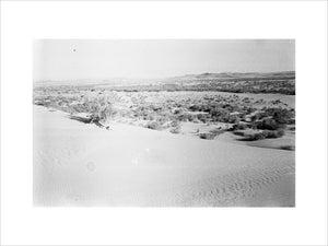 View of a vast sandy ...