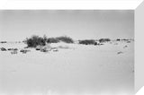 Wilfred Thesiger's party making camp ...