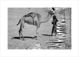 Salim bin Kabina, a young ...