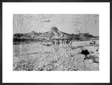 Wilfred Thesiger's party near the ...