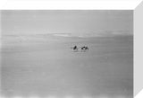 View of Wilfred Thesiger's travelling ...