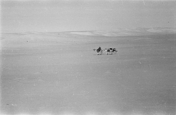 View of Wilfred Thesiger's travelling ...