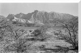 View of vegetation growing on ...