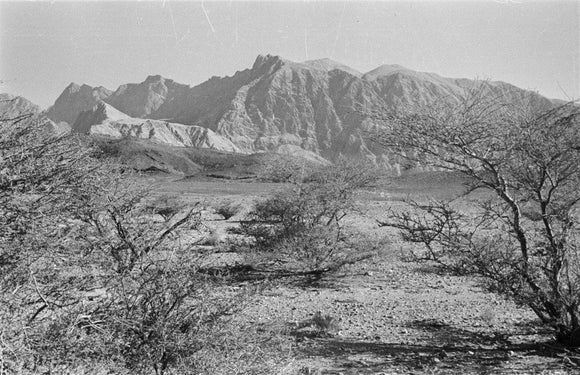 View of vegetation growing on ...