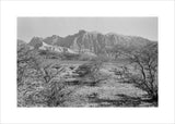 View of vegetation growing on ...