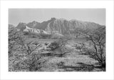 View of vegetation growing on ...