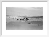 View of Wilfred Thesiger's travelling ...