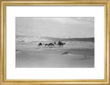 View of Wilfred Thesiger's travelling ...