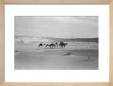 View of Wilfred Thesiger's travelling ...