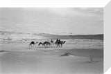 View of Wilfred Thesiger's travelling ...