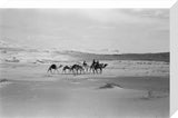 View of Wilfred Thesiger's travelling ...
