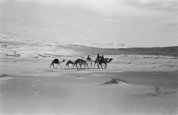 View of Wilfred Thesiger's travelling ...