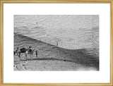 Wilfred Thesiger's party in the ...