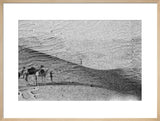 Wilfred Thesiger's party in the ...