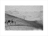 Wilfred Thesiger's party in the ...