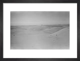 View of dunes in the ...