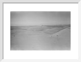 View of dunes in the ...