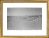 View of dunes in the ...