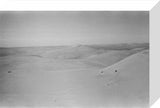 View of dunes in the ...