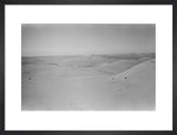 View of dunes in the ...