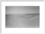 View of dunes in the ...