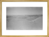 View of dunes in the ...