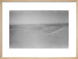 View of dunes in the ...