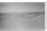 View of dunes in the ...