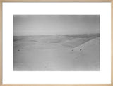 View of dunes in the ...