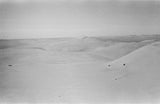 View of dunes in the ...